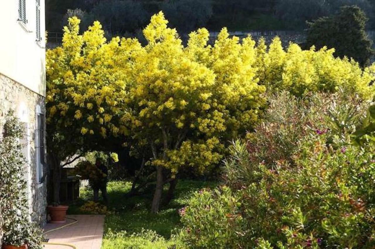Agriturismo San Michele Di Danio Giovanni Dolcedo Exterior foto